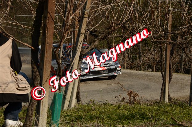 DSC_6865.jpg